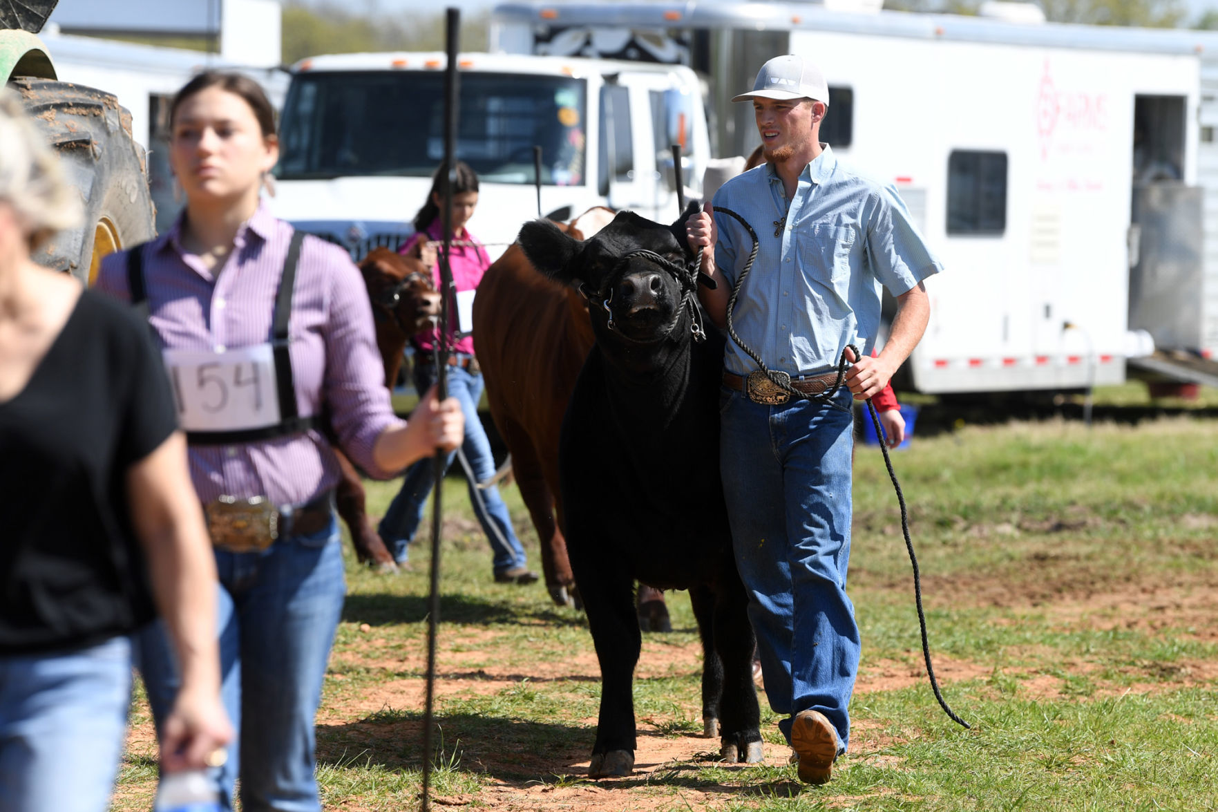 BTHO Coronavirus show